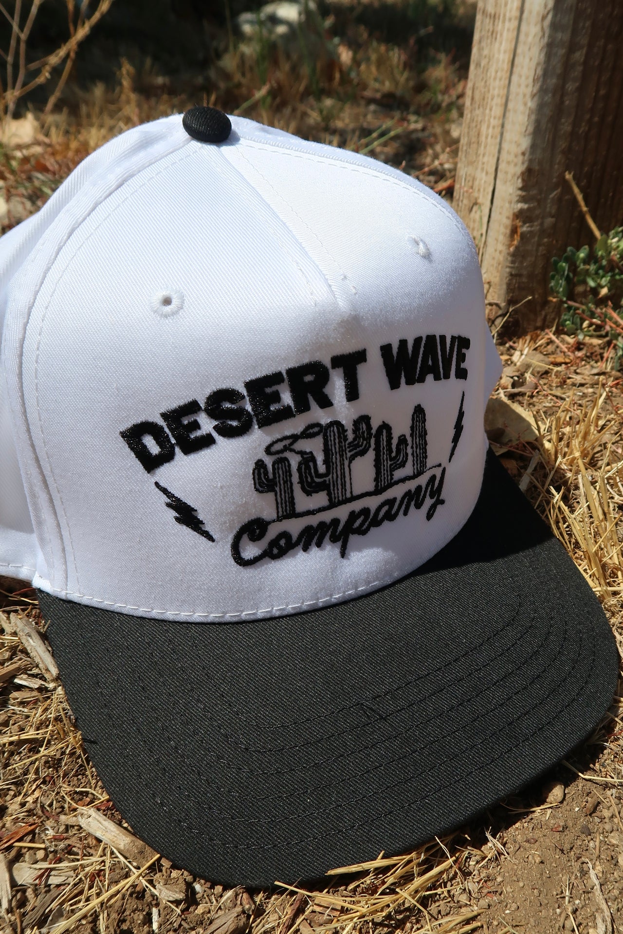 Desert Wave Cactus Rodeo