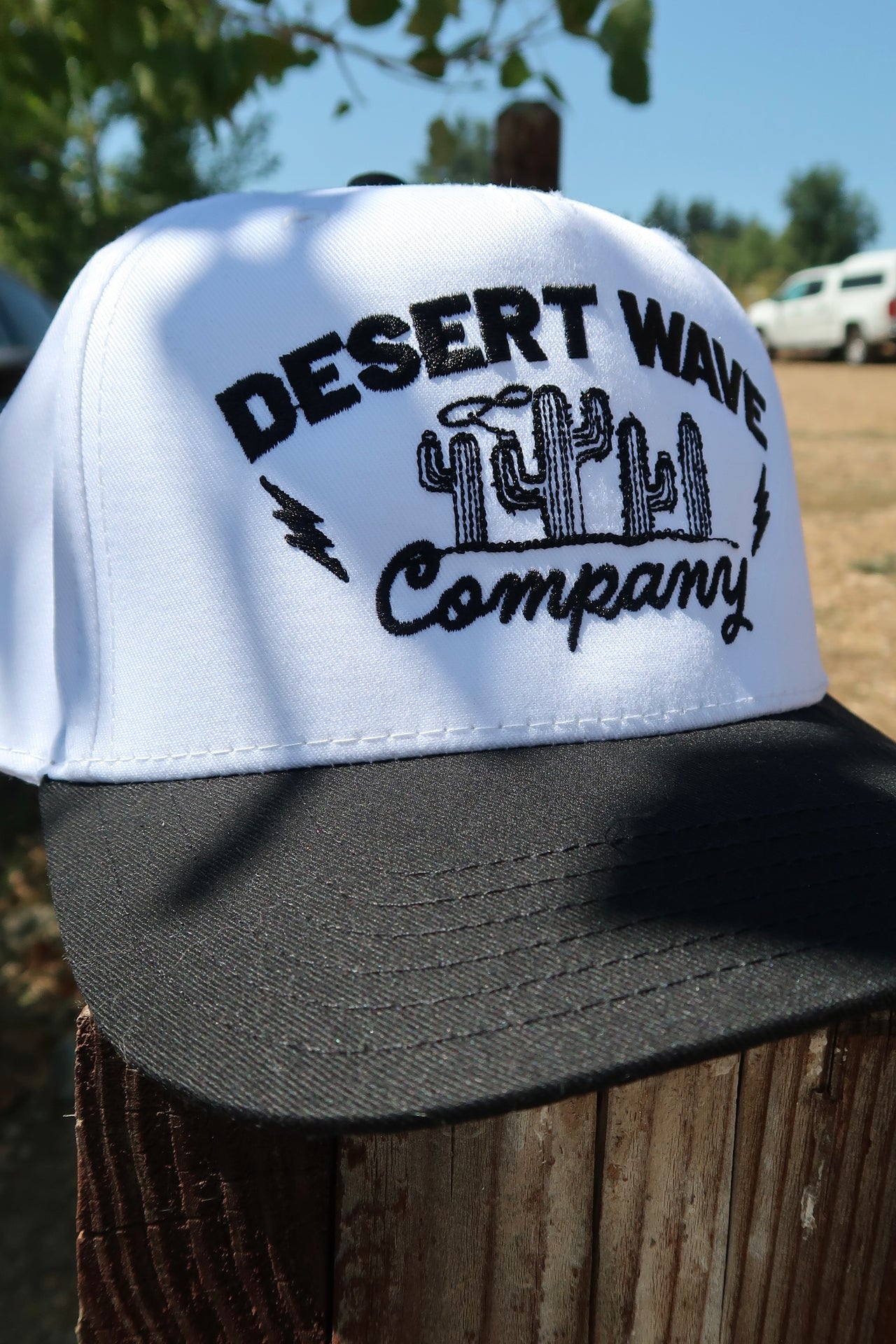 Desert Wave Cactus Rodeo